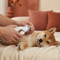 2-in-1 Silent Nail Clipper and Grinder for Dogs – Quiet, Rechargeable & Gentle